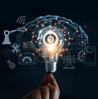 La diversification de l’activité 